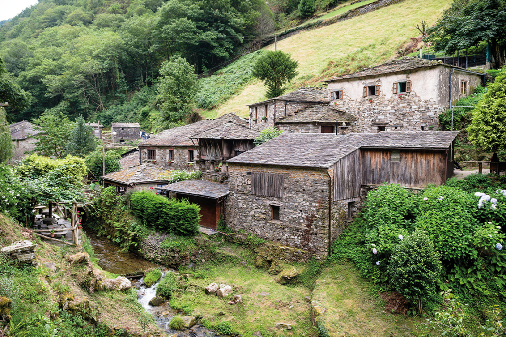 Reforzamos nuestra presencia en el medio rural asturiano, desarrollando iniciativas que favorecen su crecimiento.